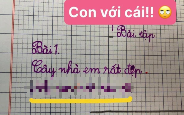 Học sinh đặt câu về mẹ, chỉ chêm vào 2 từ mà ai đọc đều lo cậu bé sẽ ăn no đòn