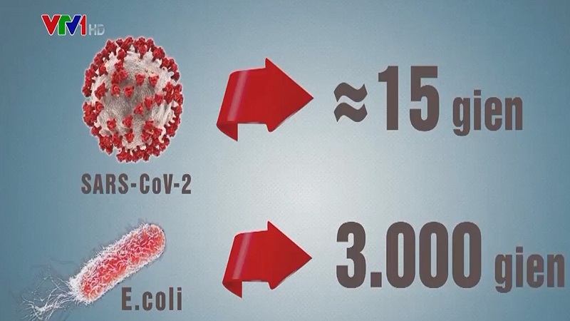 Đại dịch trong đại dịch, tỷ lệ lây nhiễm COVID-19 gia tăng đáng lo ngại ở châu Âu - Ảnh 3.