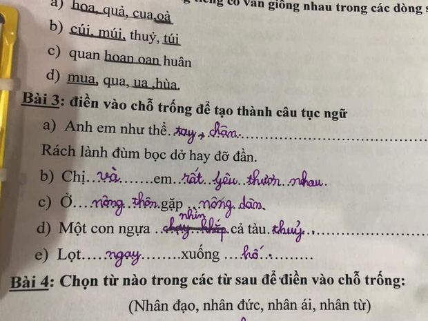 Học sinh tiểu học điền thành ngữ, 6 câu sai hết cả 5 nhưng dân tình thì khen lia lịa: Hay hơn cả 