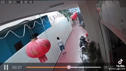 Đi bộ trong sân nhà, bé trai suýt bị gạch bê tông loại lớn rơi trúng đầu khiến ai nấy thót tim sợ hãi - Ảnh 2. Đi bộ trong sân nhà, bé trai suýt bị gạch bê tông loại lớn rơi trúng đầu khiến ai nấy thót tim sợ hãi - Ảnh 2.