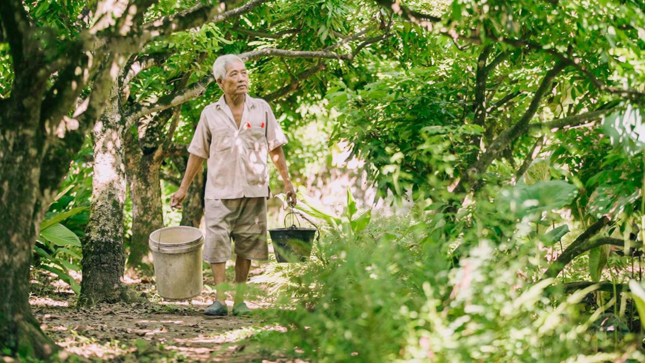 Nh&atilde;n Hưng Y&ecirc;n v&agrave; một m&ugrave;a thu hoạch thật kh&aacute;c với ShopeeFarm - Ảnh 1.