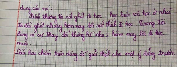 Học sinh tiểu học viết nhật ký bày tỏ lý do thích đi học, “đạo văn” trắng trợn nhưng ai đọc xong cũng cười mém xỉu vì đáng yêu quá - Ảnh 1.