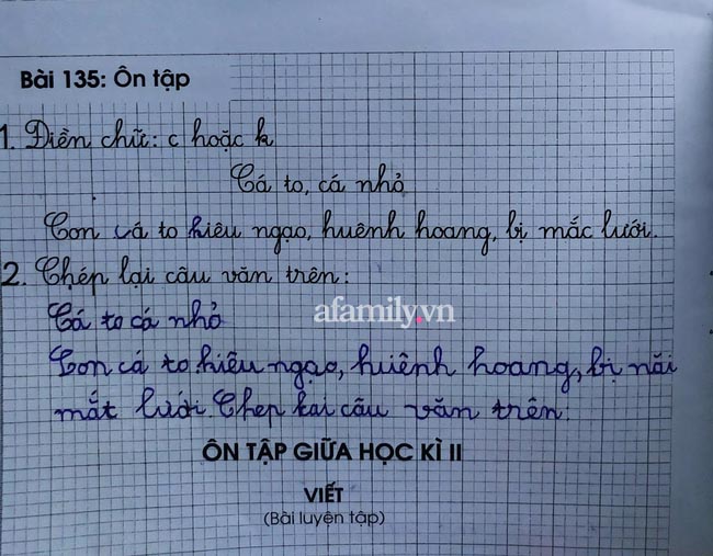 Được yêu cầu Chép lại câu văn trên, học sinh lớp 1 có bài làm bá đạo đến nỗi ông bố phải dùng ngay thuốc hạ huyết áp - Ảnh 1.