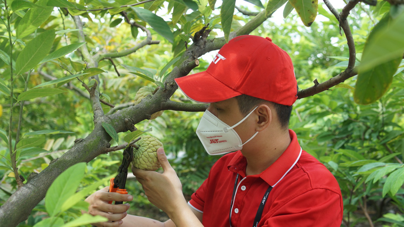 J&T Express nối dài hành trình hỗ trợ tiêu thụ nông sản Việt trong mùa dịch - Ảnh 2.