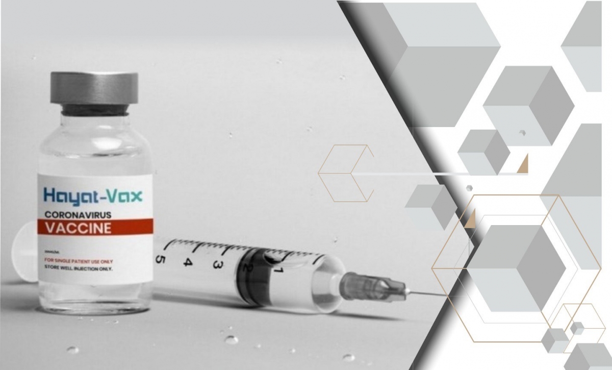 Chất lượng và hiệu quả của vaccine Covid-19 Hayat-Vax - Ảnh 1.