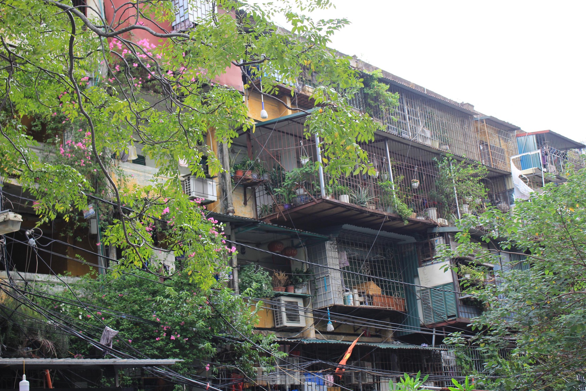 Cận cảnh 4 khu chung cư nguy hiểm cấp D ở Hà Nội sắp được cải tạo - Ảnh 22.