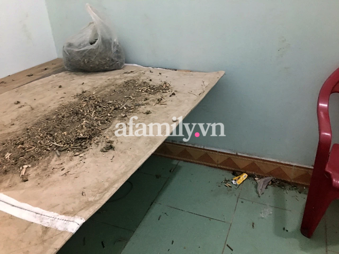 Cận cảnh phòng "thông tắc kinh mạch" của thầy lang chữa hiếm muộn bằng cách "quan hệ" ở Bắc Giang - Ảnh 4. Tất cả đã mốc meo