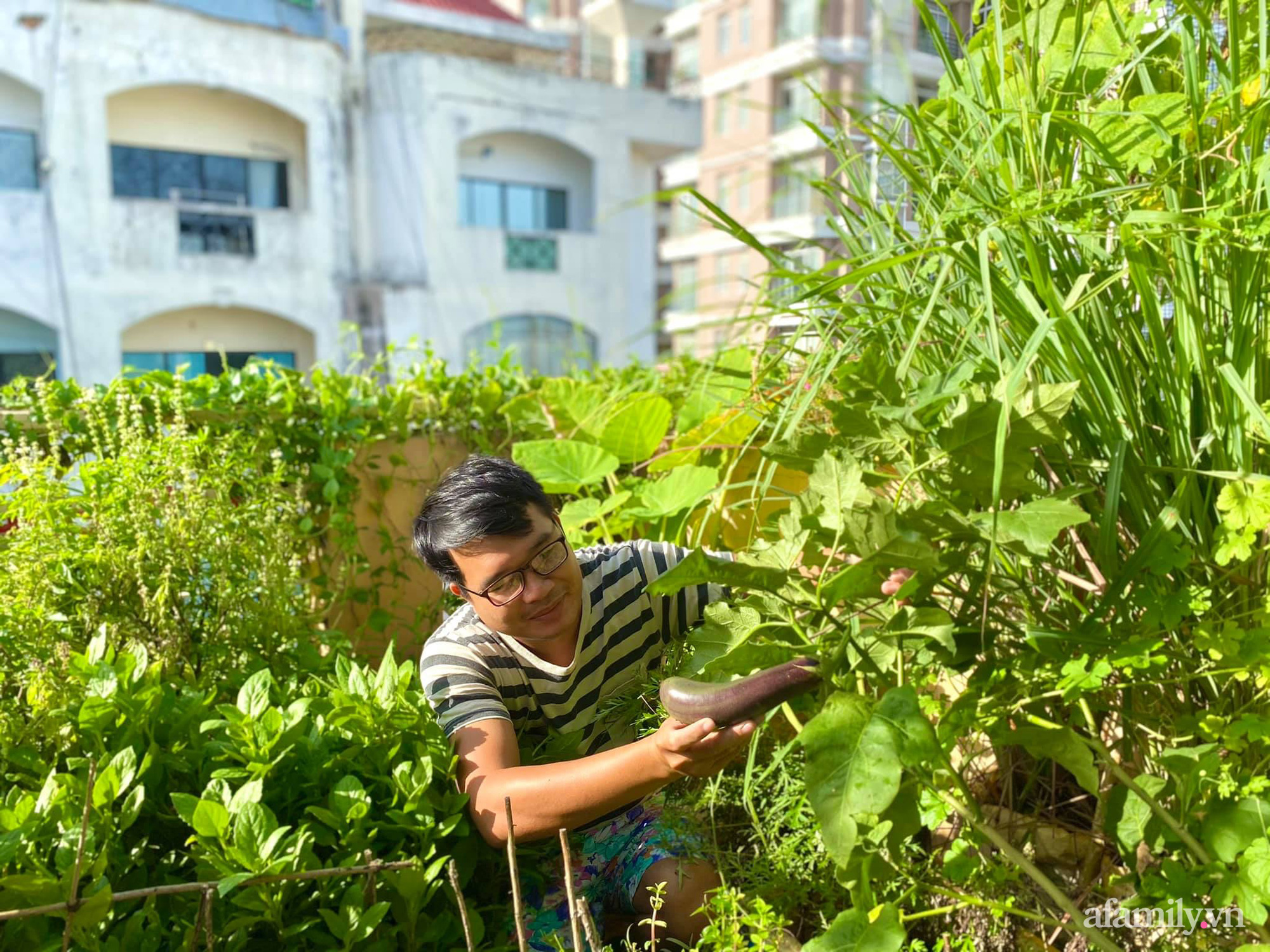 Sân thượng 20m2 xanh mướt có đủ rau, hoa, góc thưởng trà thư giãn ở Sài Gòn - Ảnh 2.