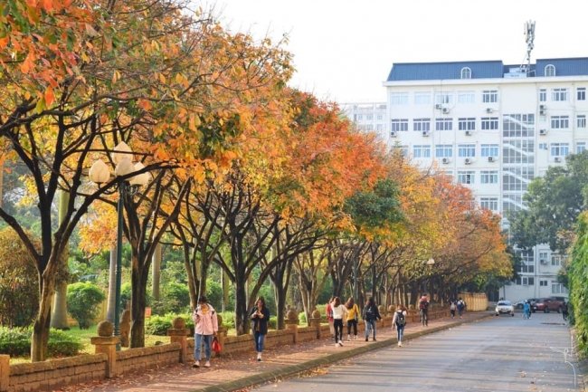Đại học lãng mạn nhất nhì Hà Nội: Sân trường đẹp như phim &quot;Trái tim mùa thu&quot;, Song Hye Kyo mà bước vào chắc cũng lụi tim - Ảnh 6.
