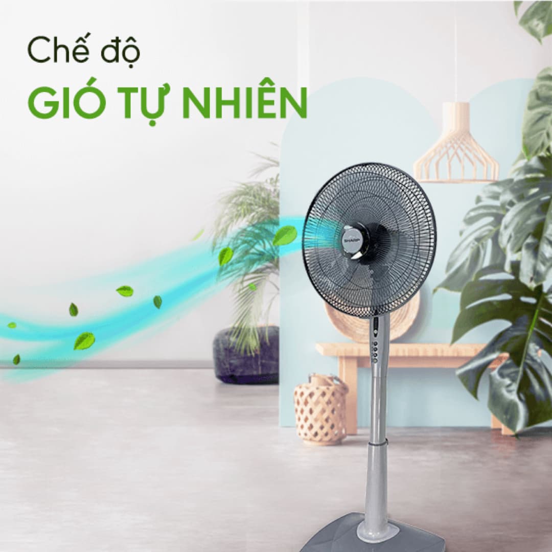 Cuối tháng lương về, lên Lazada săn sale các món đồ gia dụng từ Sharp, BlueStone đến Philips với mức giảm lên tới 50% - Ảnh 17. Cuối tháng lương về, lên Lazada săn sale các món đồ gia dụng từ Sharp, BlueStone đến Philips với mức giảm lên tới 50% - Ảnh 17.