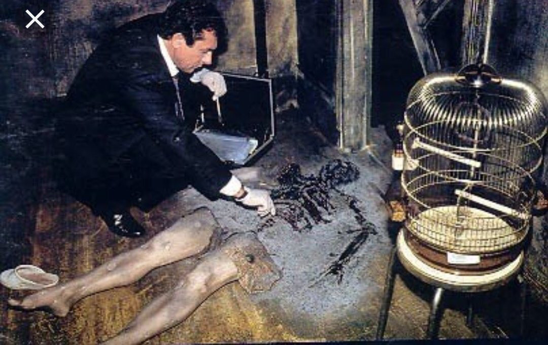 Kinh dị hiện tượng người tự bốc ch&aacute;y th&agrave;nh tro nhưng xung quanh vẫn nguy&ecirc;n vẹn, y học "đau đầu" v&igrave; kh&ocirc;ng thể l&yacute; giải loại bệnh g&igrave; - Ảnh 2.