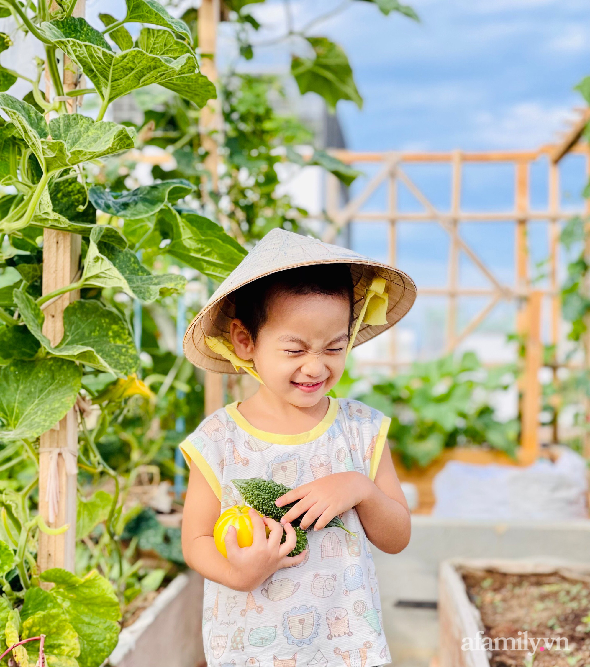 “Nông trại” rau quả sạch trên sân thượng 100m2 của mẹ đảm ở Đà Nẵng - Ảnh 25.