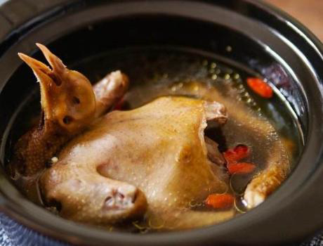 5 điều cấm kỵ khi ăn thịt chim bồ câu, ai biết rồi cần tránh ngay kẻo sinh độc hoặc làm lãng phí dinh dưỡng món ăn - Ảnh 2.