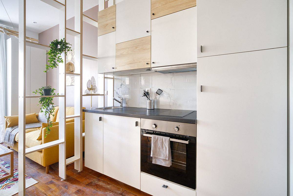 dashing-and-space-savvy-cabinets-for-the-tiny-modern-kitchen-99456-1631031201105463449787.jpeg