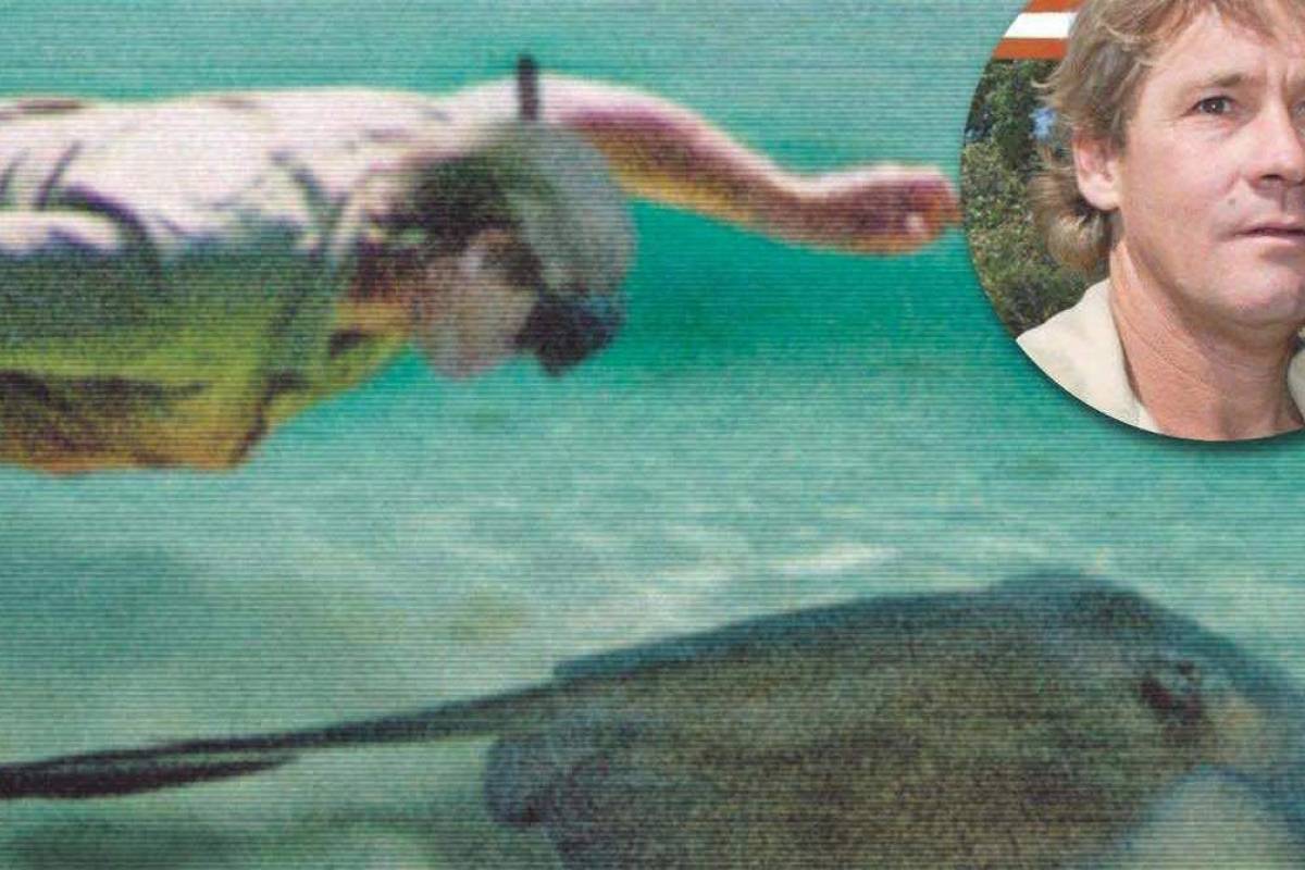 Cái chết nghiệt ngã của thợ săn cá sấu Steve Irwin: Nhà động vật học hàng đầu thế giới và câu chuyện sinh nghề tử nghiệp - Ảnh 4.