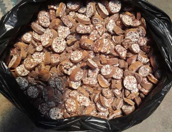 Loại chuối này được coi là thần dược trị bệnh, từ gốc đến ngọn đều được tận dụng, tiếc là người Việt không coi trọng vì không ngon - Ảnh 7. Loại chuối này được coi là thần dược trị bệnh, từ gốc đến ngọn đều được tận dụng, tiếc là người Việt không coi trọng vì không ngon - Ảnh 7.