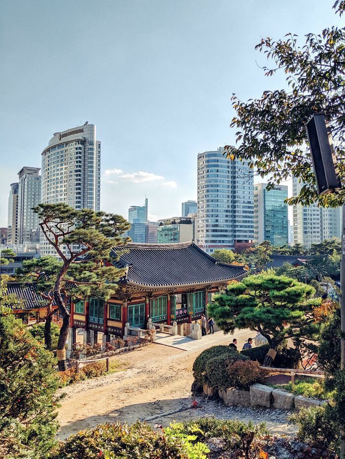 Những điều thú vị ở Hàn Quốc khiến nhiều người kinh ngạc - Ảnh 11. Những điều thú vị ở Hàn Quốc khiến nhiều người kinh ngạc - Ảnh 11.