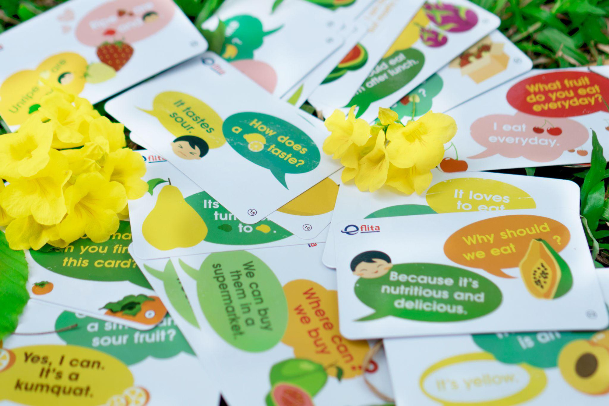 Hướng dẫn sử dụng Flashcards Tiếng Anh để dạy song ngữ tại nhà cho trẻ - Ảnh 3.