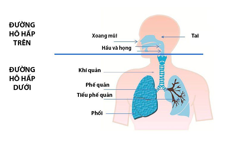 4. Chẩn đoán và điều trị