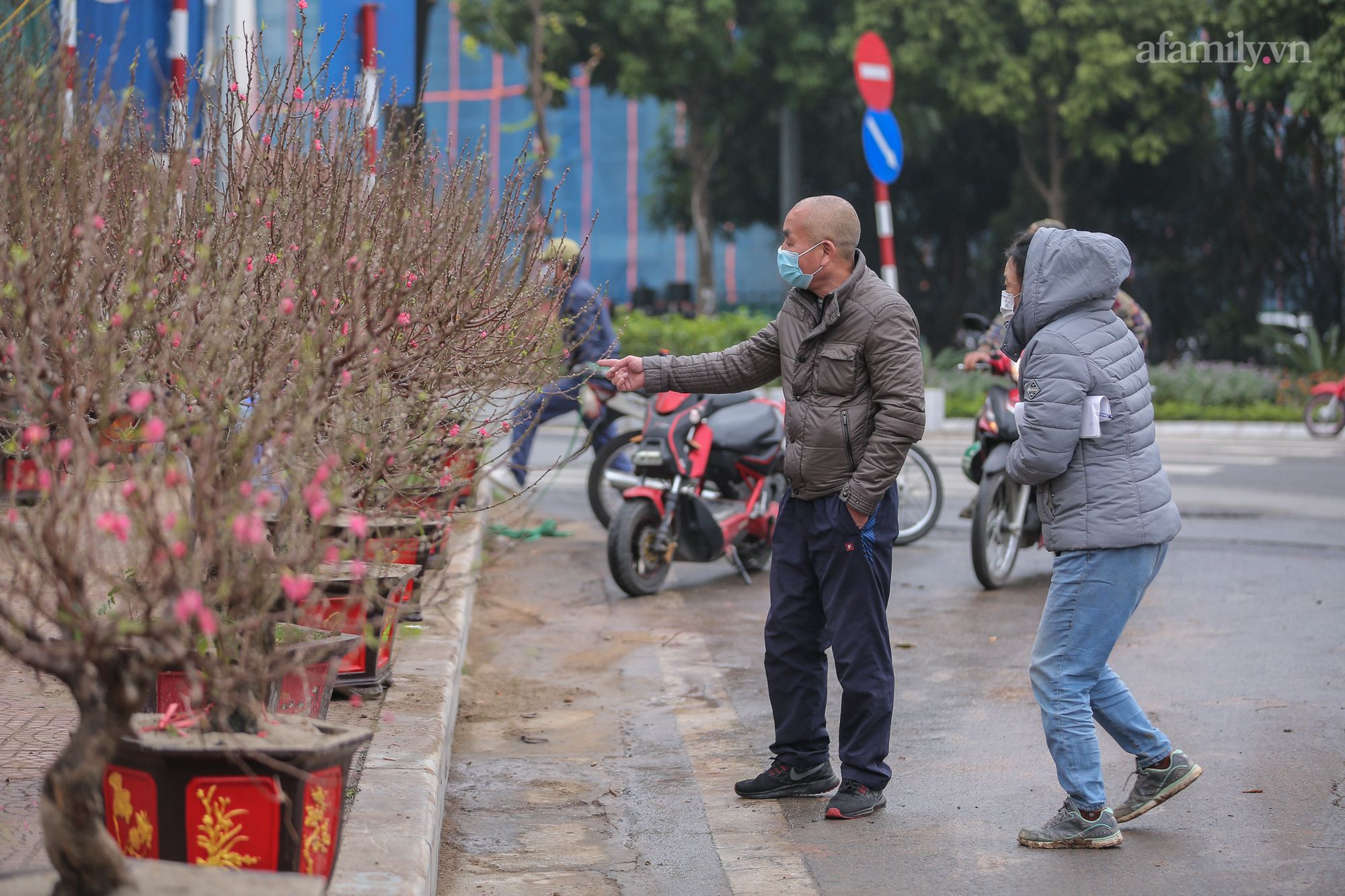 Đào xuống phố đúng thời điểm, tiểu thương vẫn méo mặt vì ít người hỏi mua - Ảnh 7.