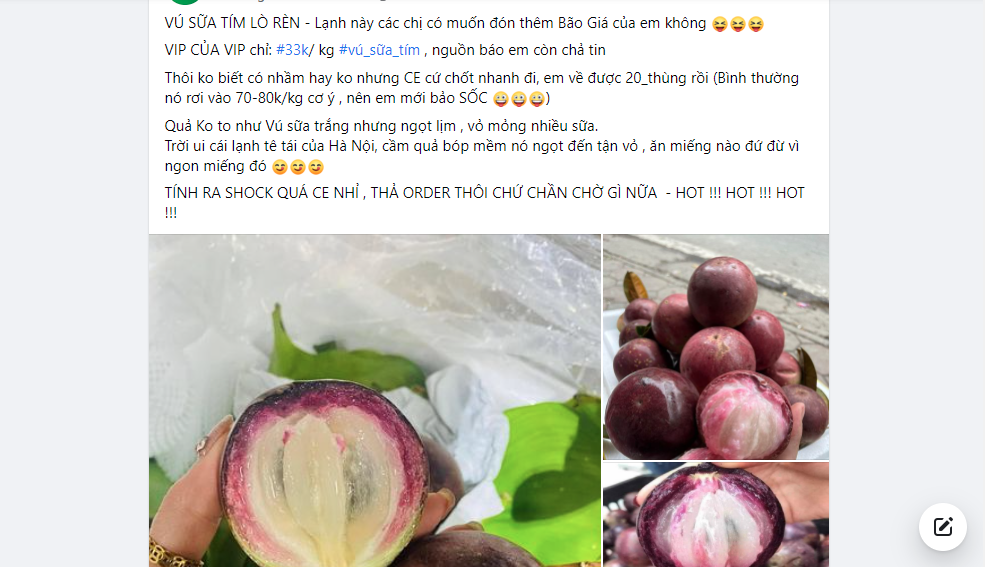 Vú sữa Lò Rèn chín mọng, tím lịm, ít hạt nhiều cùi giảm giá cực sâu, giá 1 kg có nơi chỉ bằng một bát phở - Ảnh 3. Vú sữa Lò Rèn chín mọng, tím lịm, ít hạt nhiều cùi giảm giá cực sâu, giá 1 kg có nơi chỉ bằng một bát phở - Ảnh 3.
