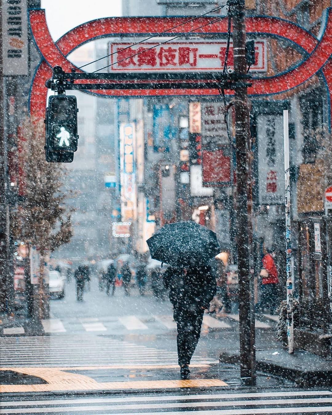 Chùm ảnh: Khung cảnh Tokyo dưới tuyết trắng đẹp đến nao lòng, phảng phất nét buồn tựa cổ tích mùa đông - Ảnh 12. Chùm ảnh: Khung cảnh Tokyo dưới tuyết trắng đẹp đến nao lòng, phảng phất nét buồn tựa cổ tích mùa đông - Ảnh 12.
