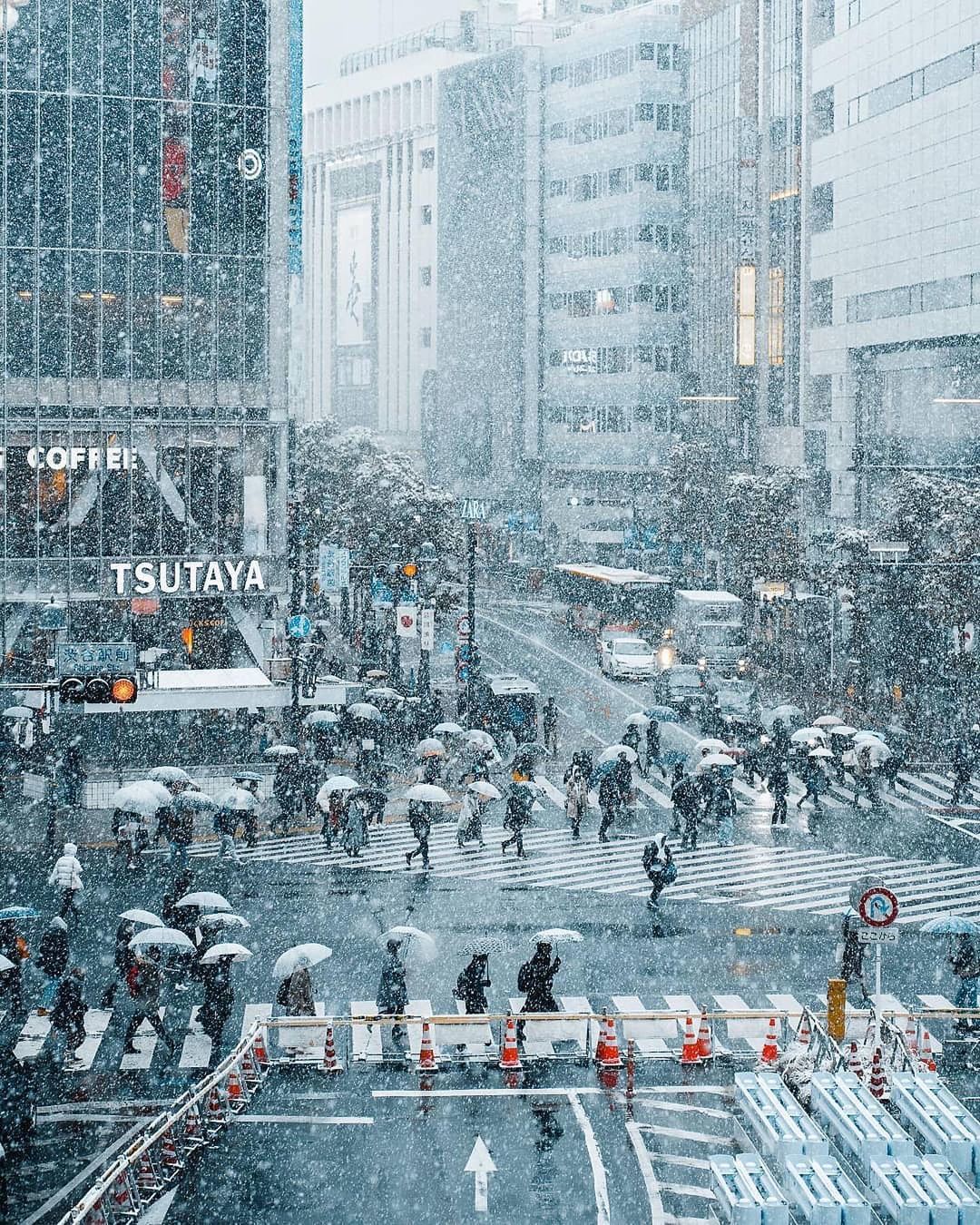 Thành phố Tokyo mang một vẻ đẹp cổ điển, nhưng khi được phủ phủi bởi lớp tuyết trắng, nó trở thành một trải nghiệm tuyệt vời hơn. Bức ảnh này sẽ đưa bạn đến với một Tokyo trắng xoá như một mơ ước đẹp đẽ.