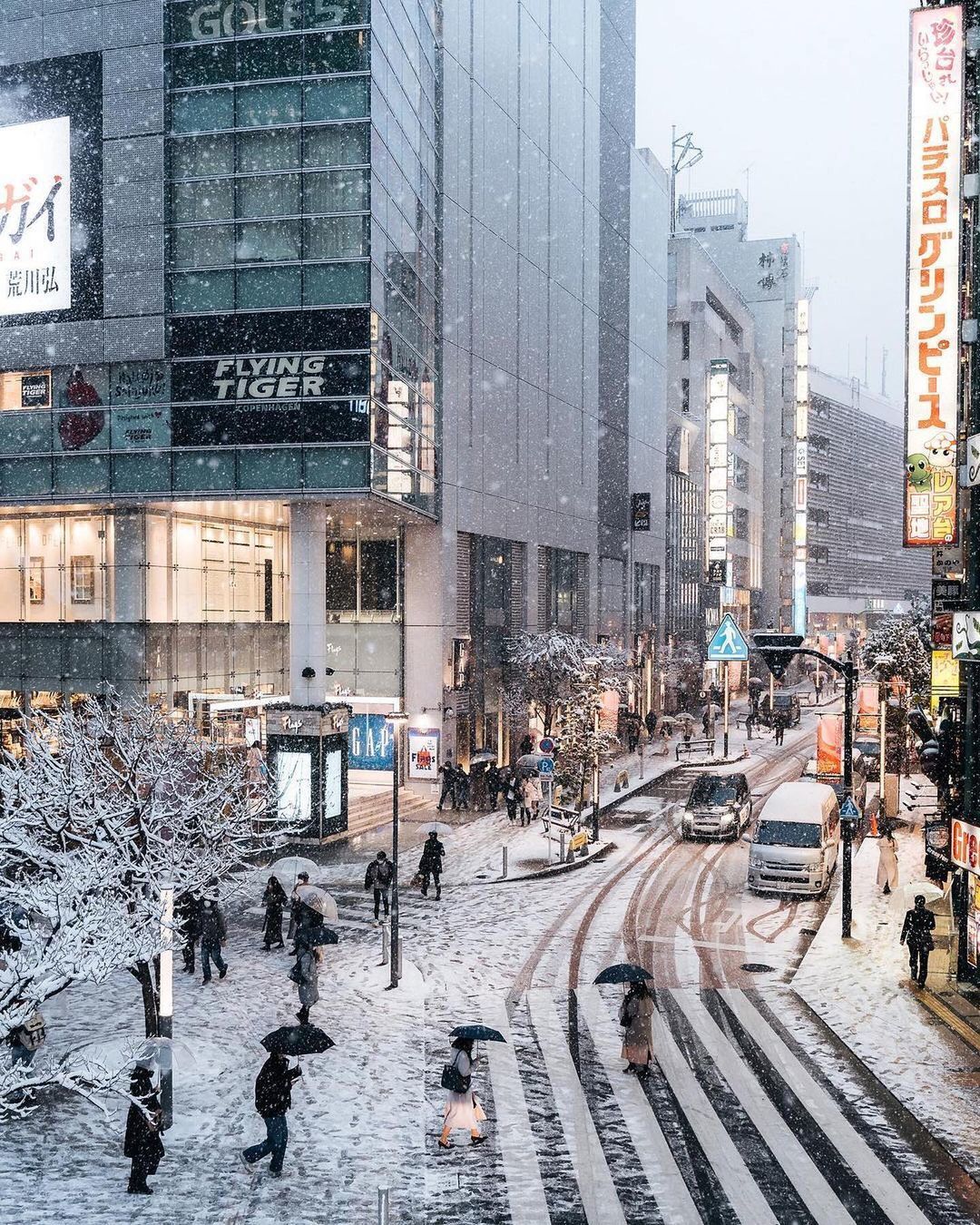 Chùm ảnh: Khung cảnh Tokyo dưới tuyết trắng đẹp đến nao lòng, phảng phất nét buồn tựa cổ tích mùa đông - Ảnh 4.