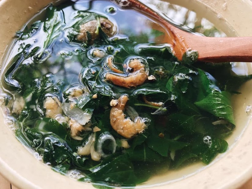 Loại l&aacute; vườn nh&agrave; n&agrave;o cũng c&oacute; c&ograve;n bổ hơn cả nh&acirc;n s&acirc;m, thường được d&ugrave;ng nấu canh, nhiều người tin cứu sống h&agrave;ng triệu bệnh nh&acirc;n đột quỵ - Ảnh 2.