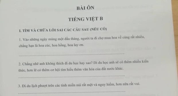 Bài tập chữa lỗi sai tiếng Việt của học sinh Nhật Bản khiến người Việt "xịn" 100% cũng toát mồ hôi: Học khối C cũng chịu thua  - Ảnh 2.