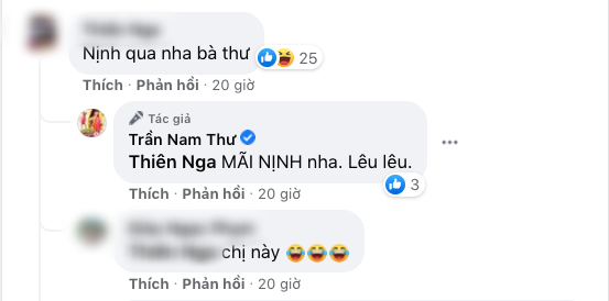 Nam Thư bị netizen vào thẳng Facebook mắng làm màu, nịnh nọt Hoài Linh, lập tức có pha đáp trả cực gắt - Ảnh 5.