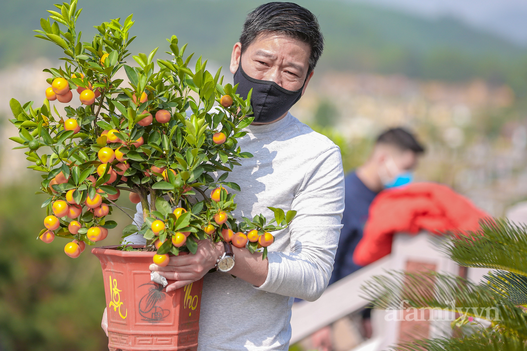 Người Hà Nội thành kính tảo mộ mời tổ tiên về ăn Tết cùng gia đình, con cháu - Ảnh 6. Người Hà Nội thành kính tảo mộ mời tổ tiên về ăn Tết cùng gia đình, con cháu - Ảnh 6.