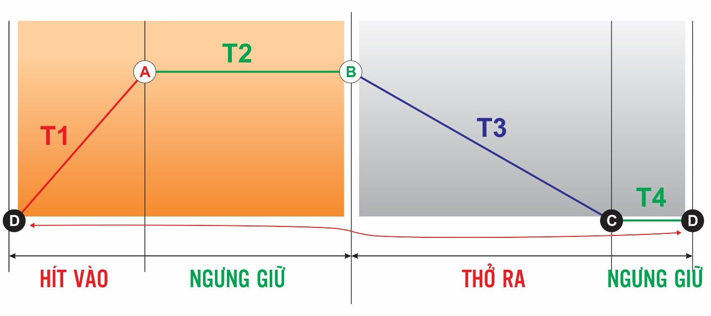 Các bài luyện tập đơn giản tại nhà cho người đã khỏi COVID-19 nhanh chóng lấy lại sức khỏe - Ảnh 1.