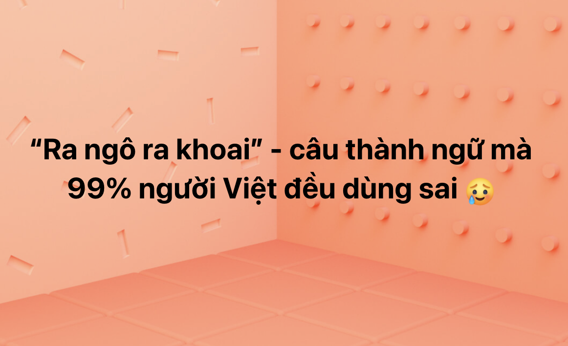  - Ảnh 1.