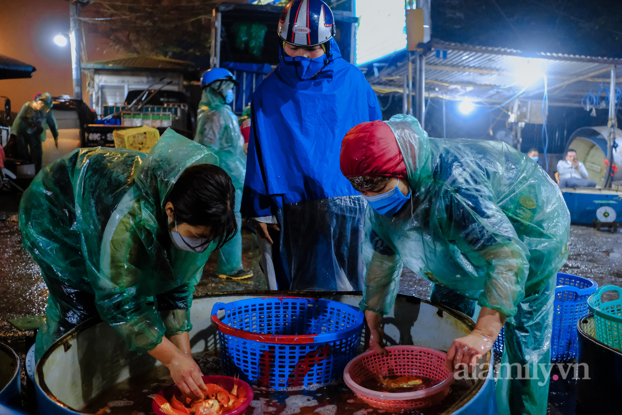 Ngày ông Công, ông Táo Cá chép tăng giá gấp đôi so với năm trước, tiểu thương vẫn lo không dám “ôm” nhiều - Ảnh 12.