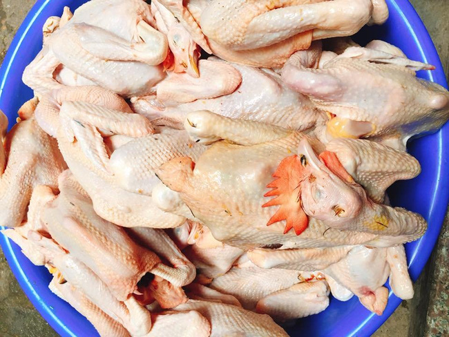 Đi chợ chọn gà ăn Tết nếu thấy con gà có 3 đặc điểm sau phải mua ngay vì chắc chắn là gà ngon sạch, lại không lo gian thương bơm nước, dùng chất tạo vàng - Ảnh 3.