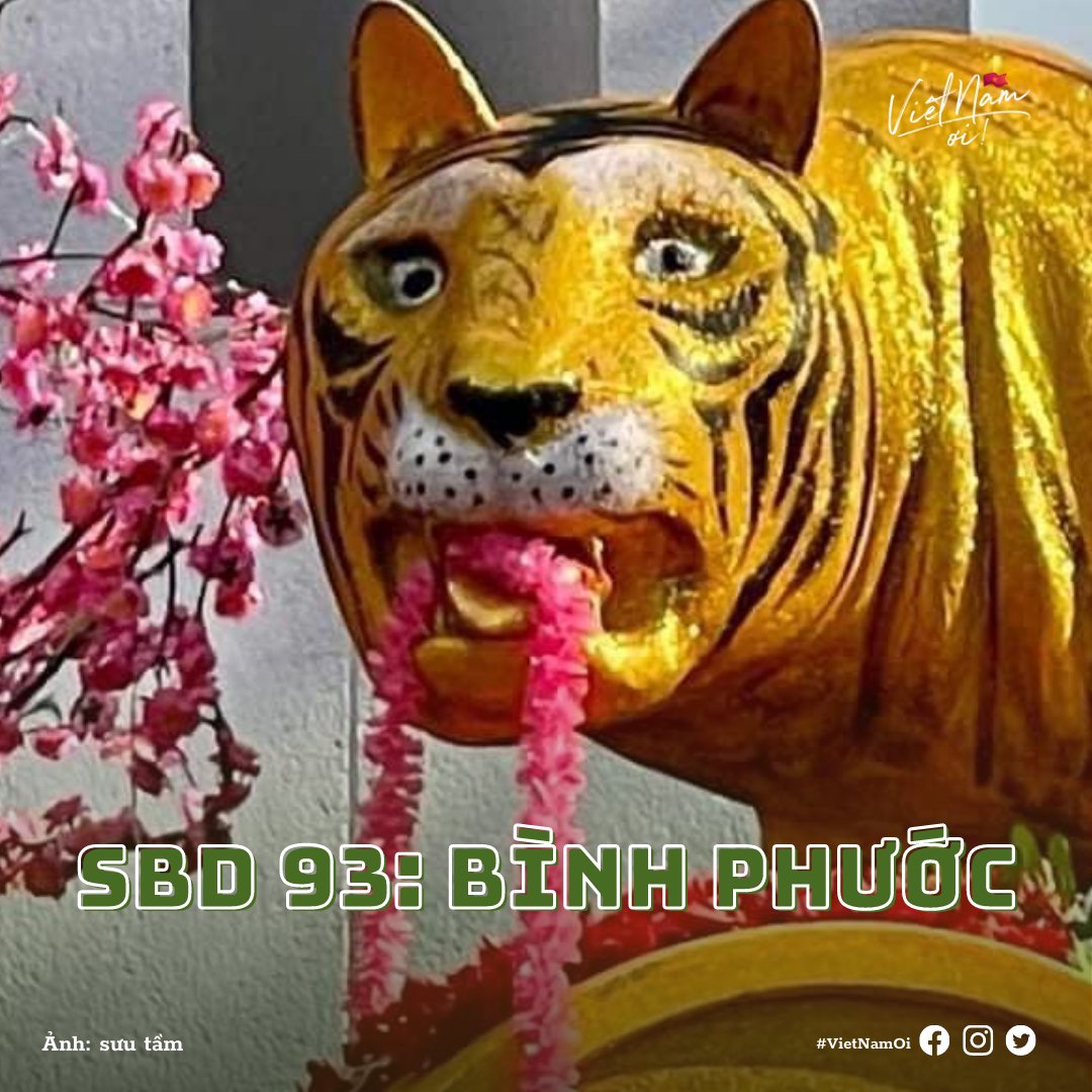 Cư dân mạng cấp SBD cho loạt "ông Hổ" đi thi miss linh vật năm 2022, ai sẽ đạt quán quân? - Ảnh 3. Cư dân mạng cấp SBD cho loạt "ông Hổ" đi thi miss linh vật năm 2022, ai sẽ đạt quán quân? - Ảnh 3.
