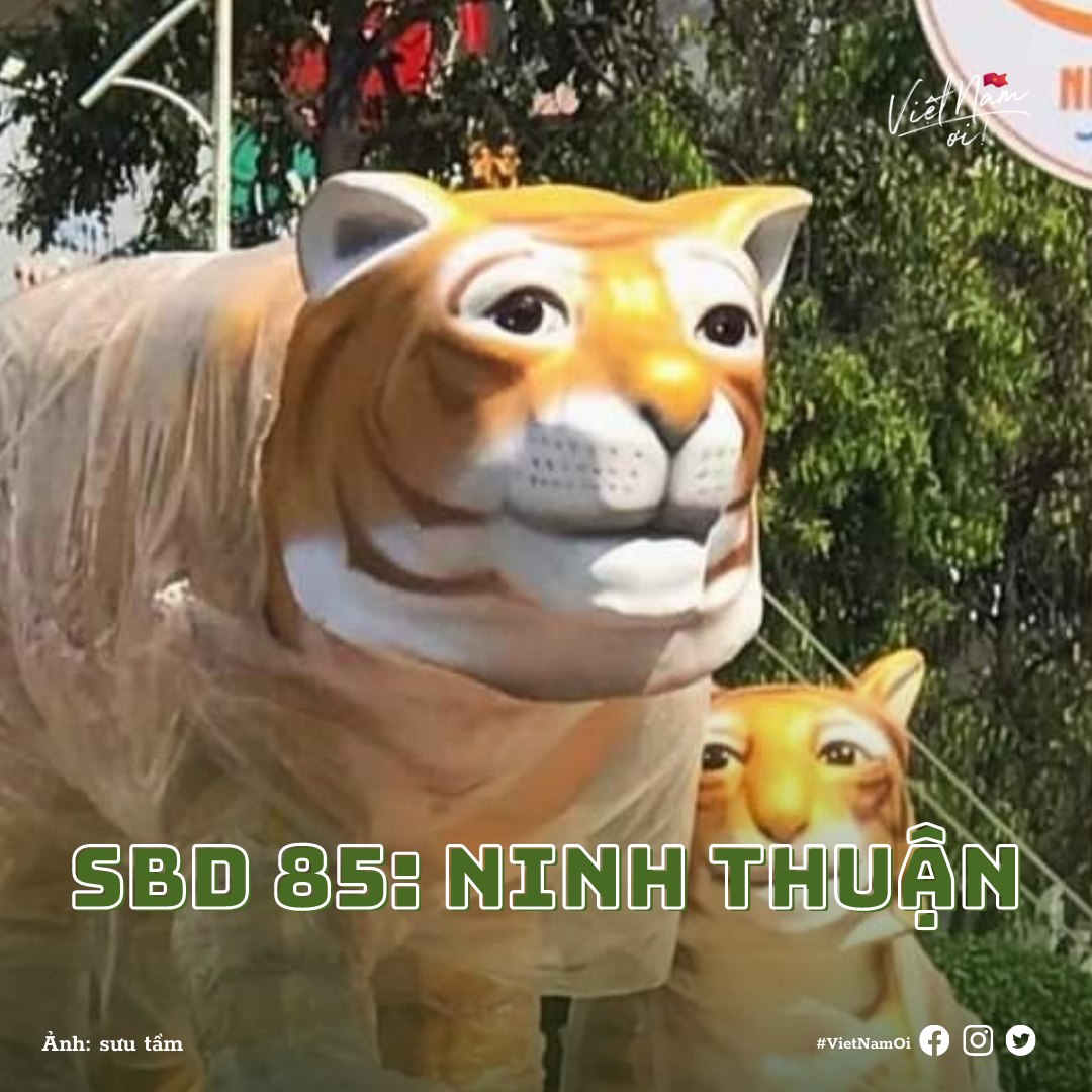 Cư dân mạng cấp SBD cho loạt "ông Hổ" đi thi miss linh vật năm 2022, ai sẽ đạt quán quân? - Ảnh 7. Cư dân mạng cấp SBD cho loạt "ông Hổ" đi thi miss linh vật năm 2022, ai sẽ đạt quán quân? - Ảnh 7.