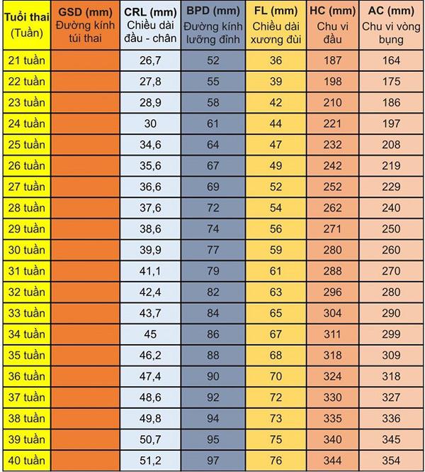 Các chỉ số siêu âm thai nhi mẹ bầu cần nắm rõ, ngoài BPD và FL còn rất nhiều kí hiệu quan trọng khác - Ảnh 1.