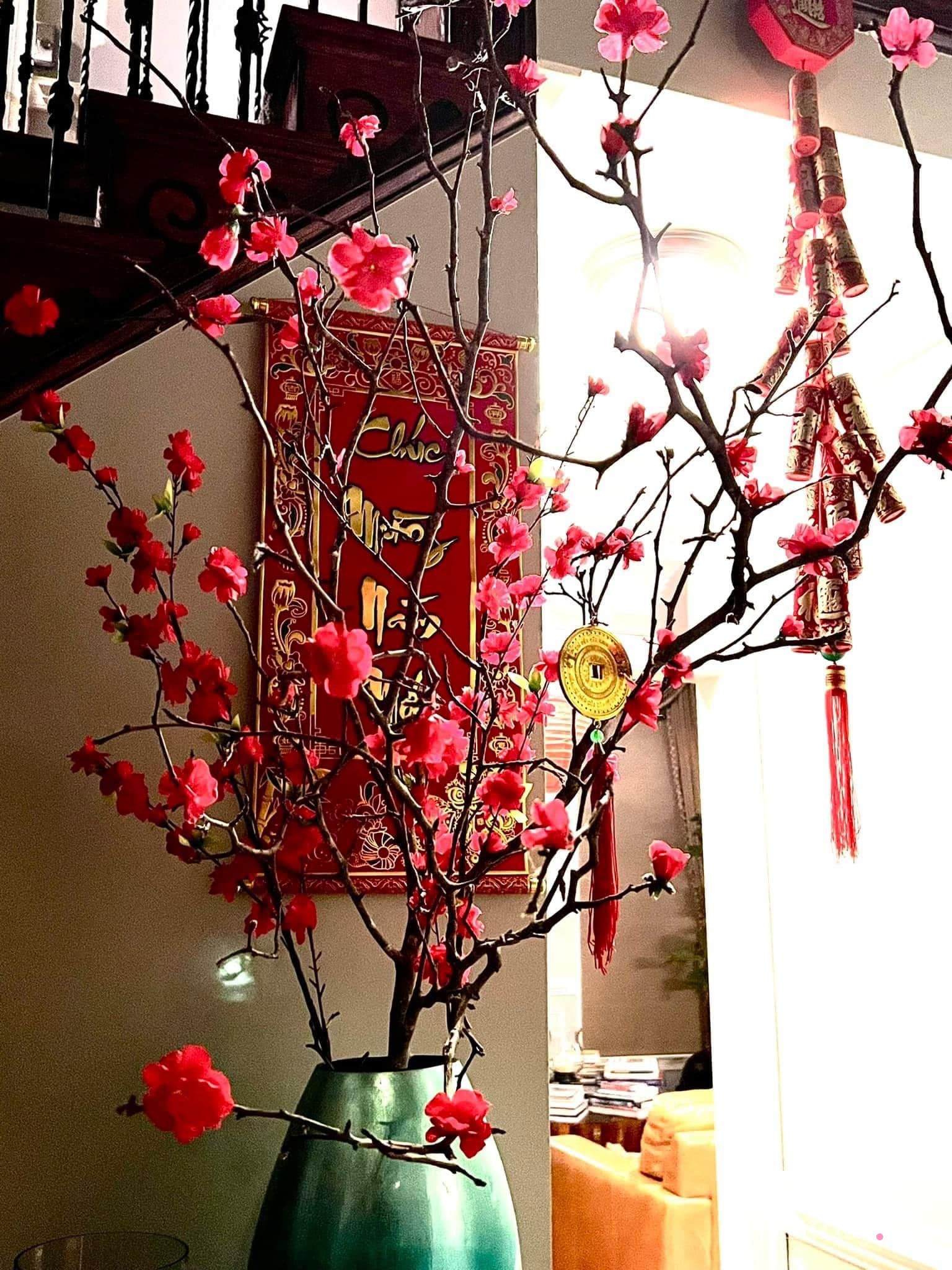 Mùng 1 Tết ghé nhà mẹ Việt trên đất Mỹ thăm thú: Trang hoàng đón năm mới ở xứ người tràn ngập hương vị Xuân - Ảnh 4.