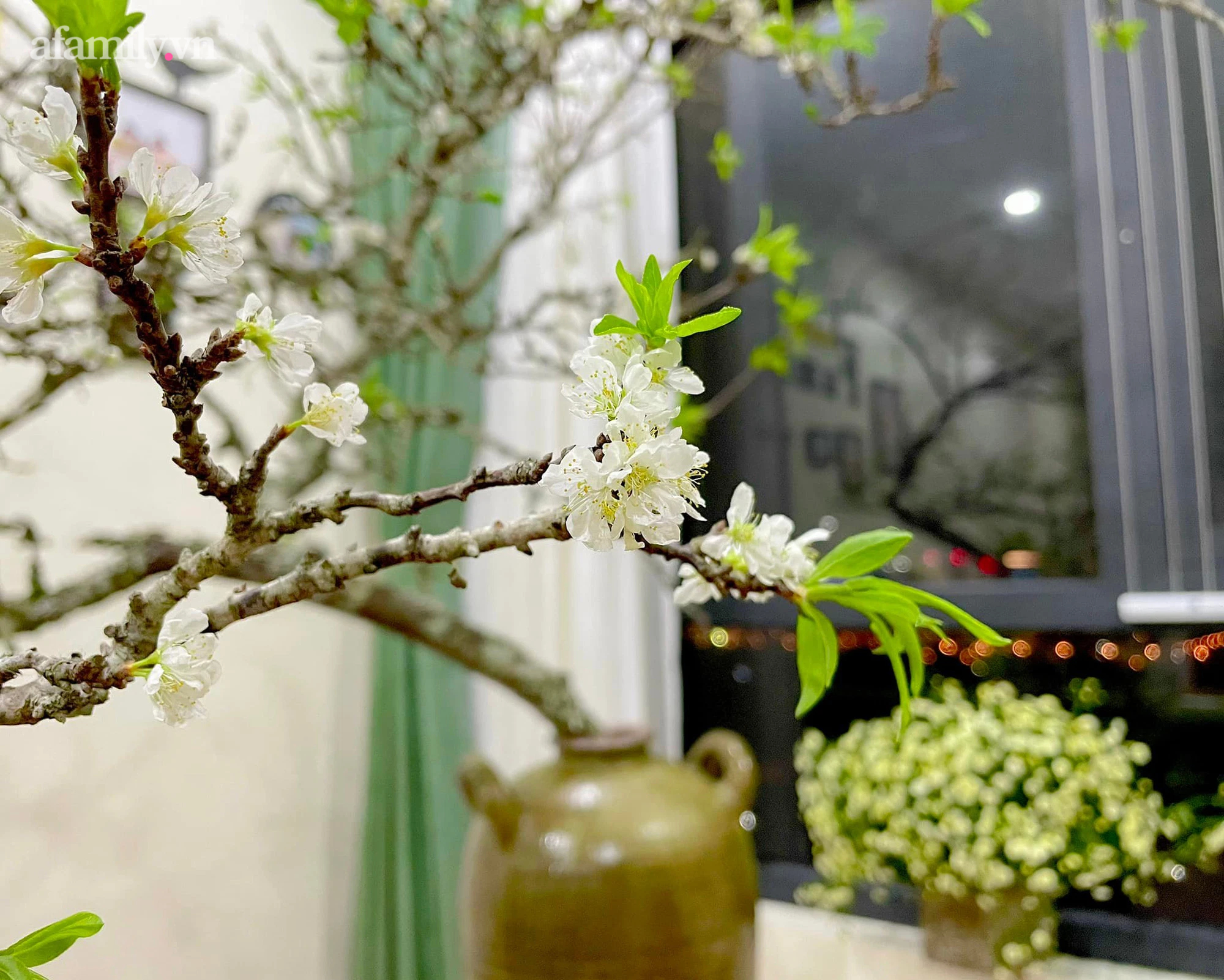 Chị em Hà Thành rộ mốt sắm hoa mận rừng chơi Tết, mỗi cành giá nửa triệu mang vẻ đẹp núi rừng sơn cước vào nhà - Ảnh 7.