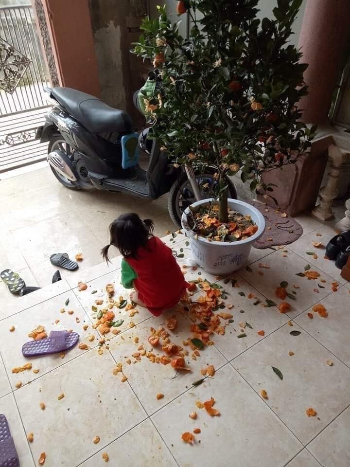 Dặn dò con gái phải thùy mị nết na, mẹ trẻ suýt ngất khi tận mắt chứng kiến hành động của con qua camera - Ảnh 6. Dặn dò con gái phải thùy mị nết na, mẹ trẻ suýt ngất khi tận mắt chứng kiến hành động của con qua camera - Ảnh 6.