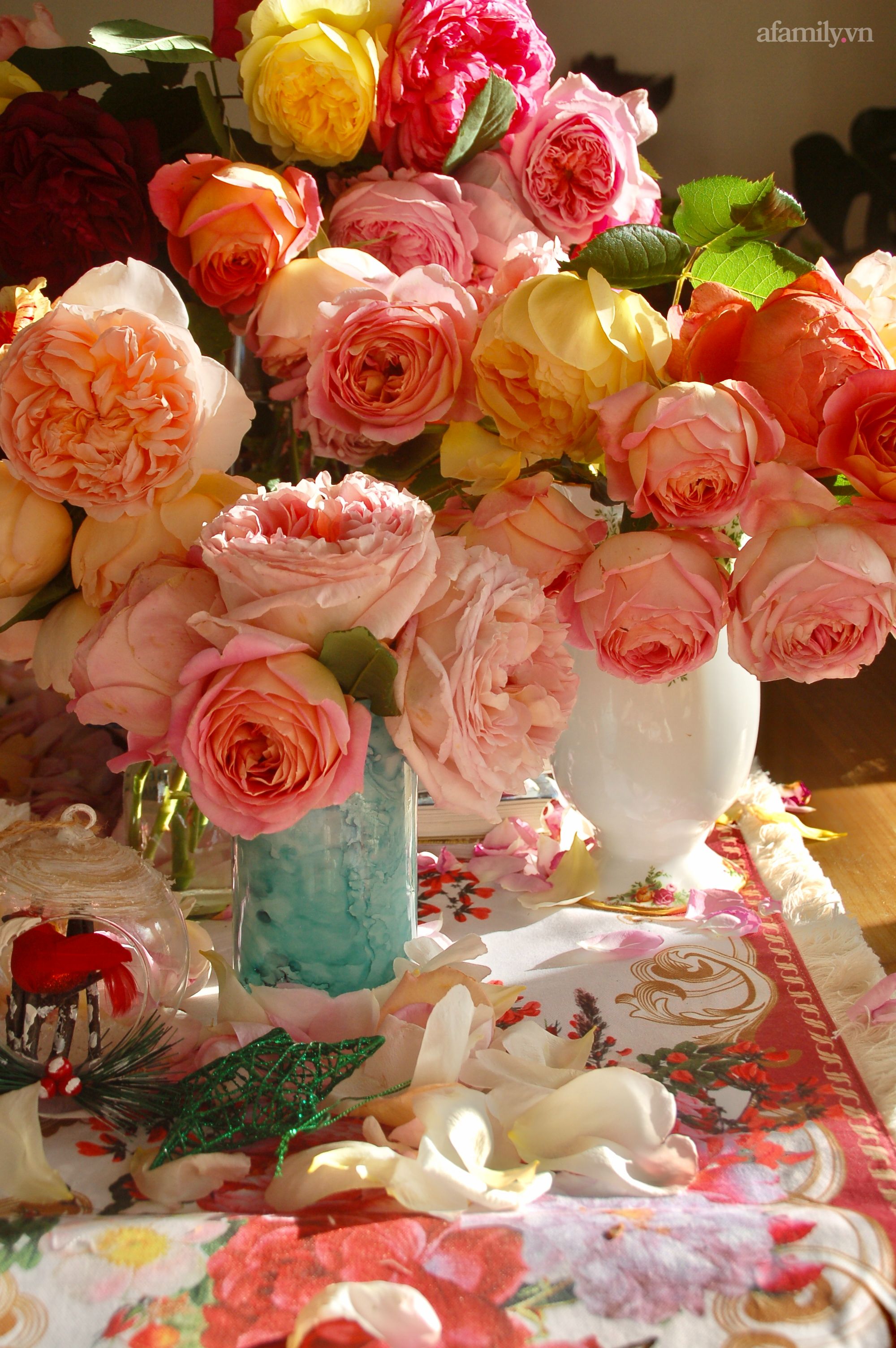 Hãy cùng ngắm những hình ảnh hoa hồng chill tuyệt đẹp và thư thái, khiến trái tim bạn được thăng hoa thêm một tầng. Những bông hồng tươi tắn này sẽ đưa bạn đến không gian yên bình và đầy sự rực rỡ. Điều tuyệt vời hơn, bạn có thể cho rằng mình đang đi dạo trong một vườn hoa thật sự.