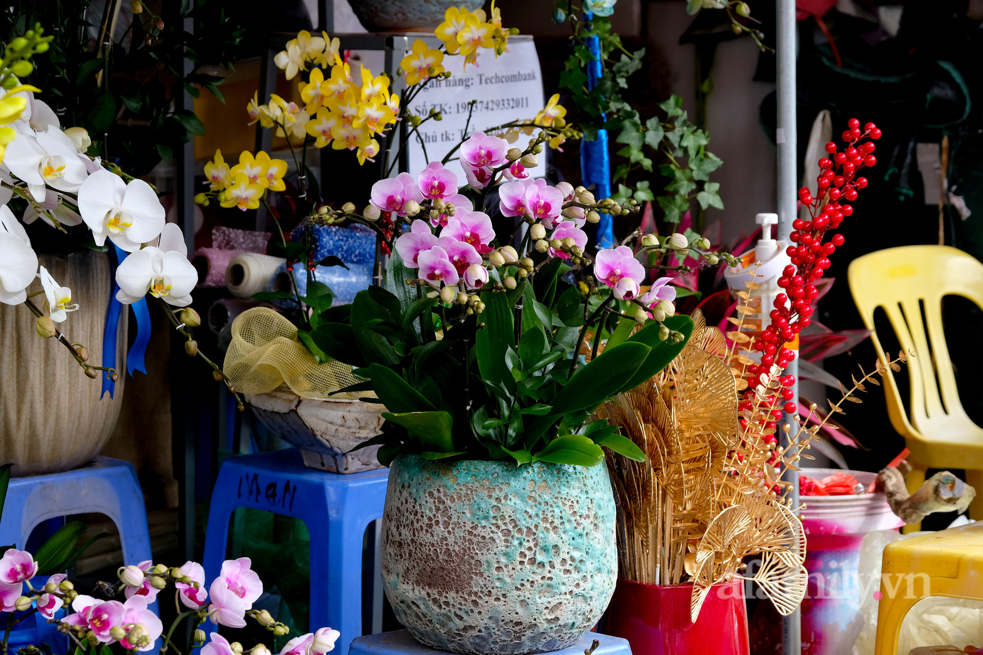 29 Tết đi chợ hoa Quảng Bá: Giá hoa tăng 20% so với ngày thường, mua nhanh 5 cành đào đông cắm đẹp nhà mà hết 2,2 triệu - Ảnh 22.