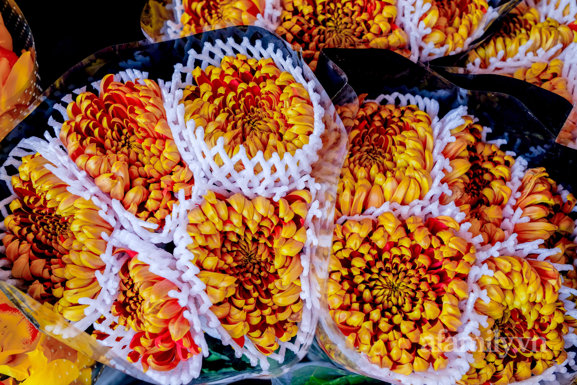 29 Tết đi chợ hoa Quảng Bá: Giá hoa tăng 20% so với ngày thường, mua nhanh 5 cành đào đông cắm đẹp nhà mà hết 2,2 triệu - Ảnh 5.