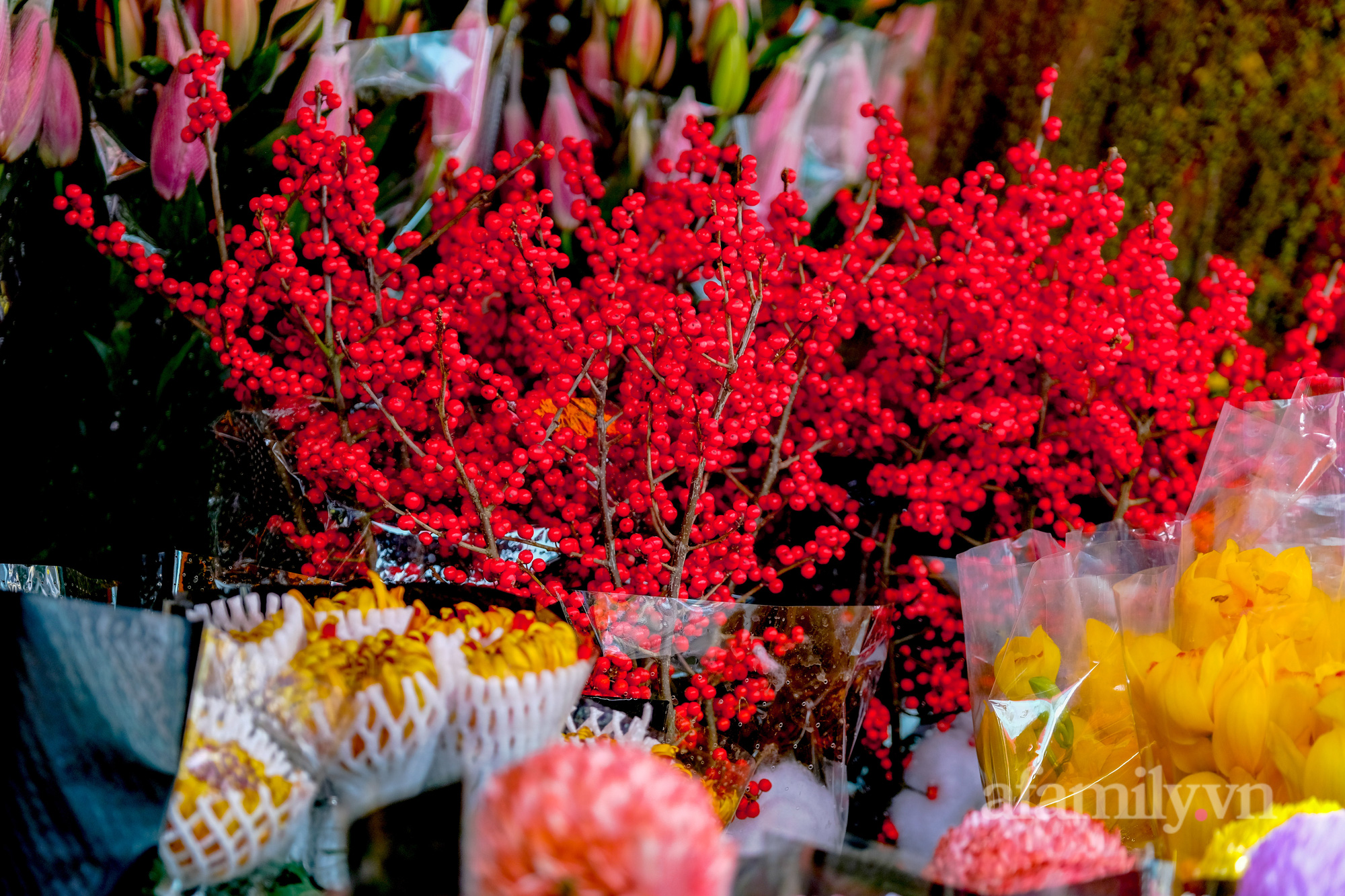 29 Tết đi chợ hoa Quảng Bá: Giá hoa tăng 20% so với ngày thường, mua nhanh 5 cành đào đông cắm đẹp nhà mà hết 2,2 triệu - Ảnh 13.