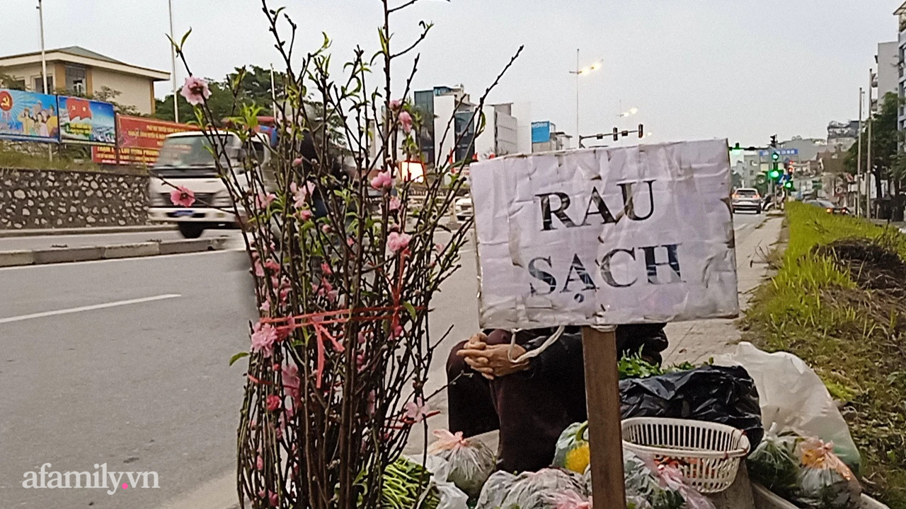 Tấm biển &quot;rau sạch&quot; do gia đình trồng được