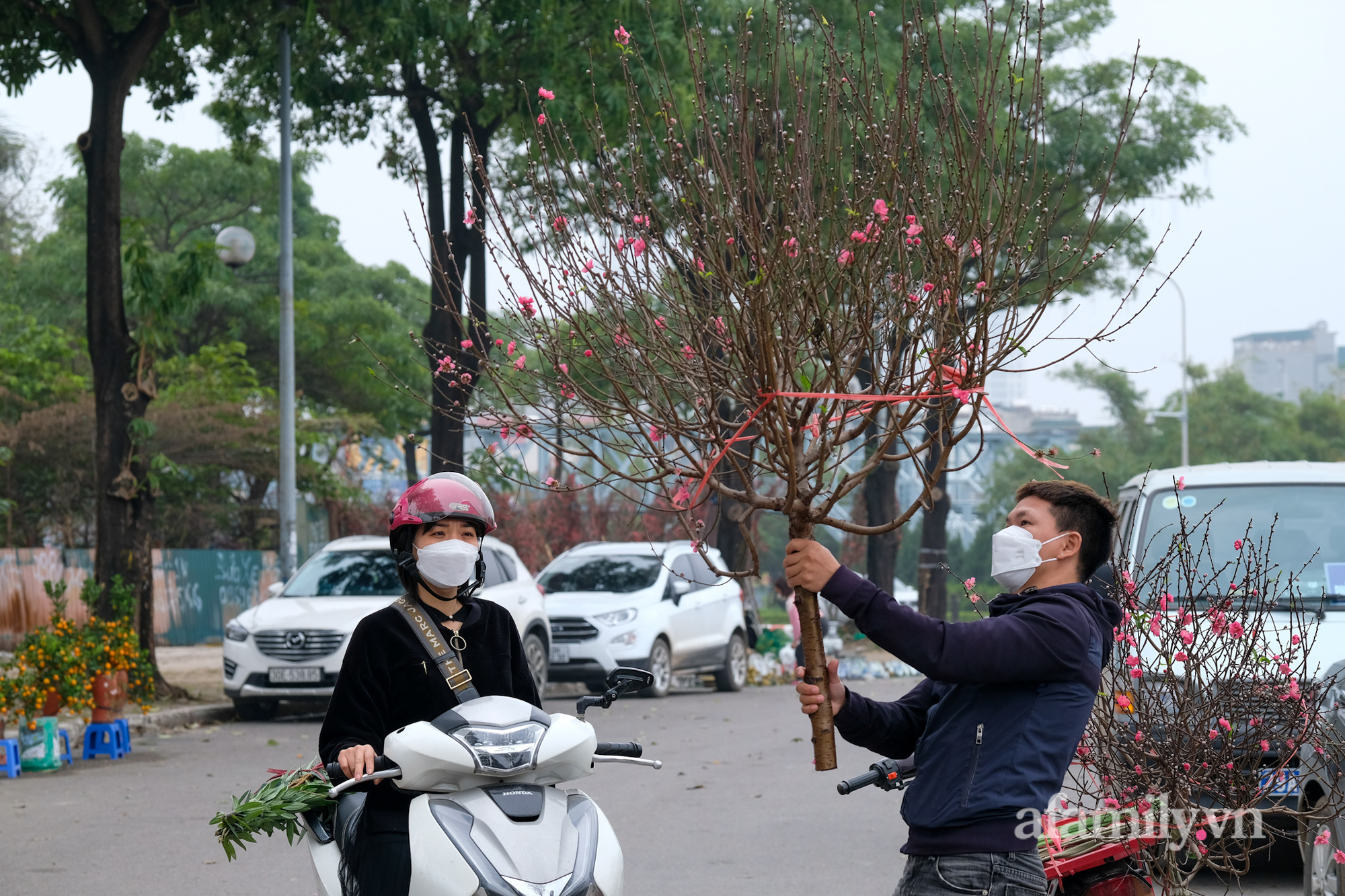 26 Tết, đào quất đổ ra đường &quot;sale đồng giá&quot; tấp nập, chỉ 250k mua được chậu đẹp mang về - Ảnh 16.