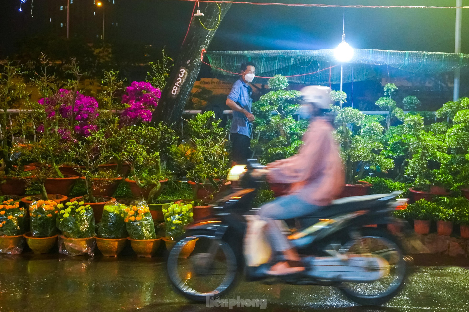 Chợ hoa &quot;trên bến dưới thuyền&quot; ngập tràn sắc xuân trước giờ khai mạc - Ảnh 2.