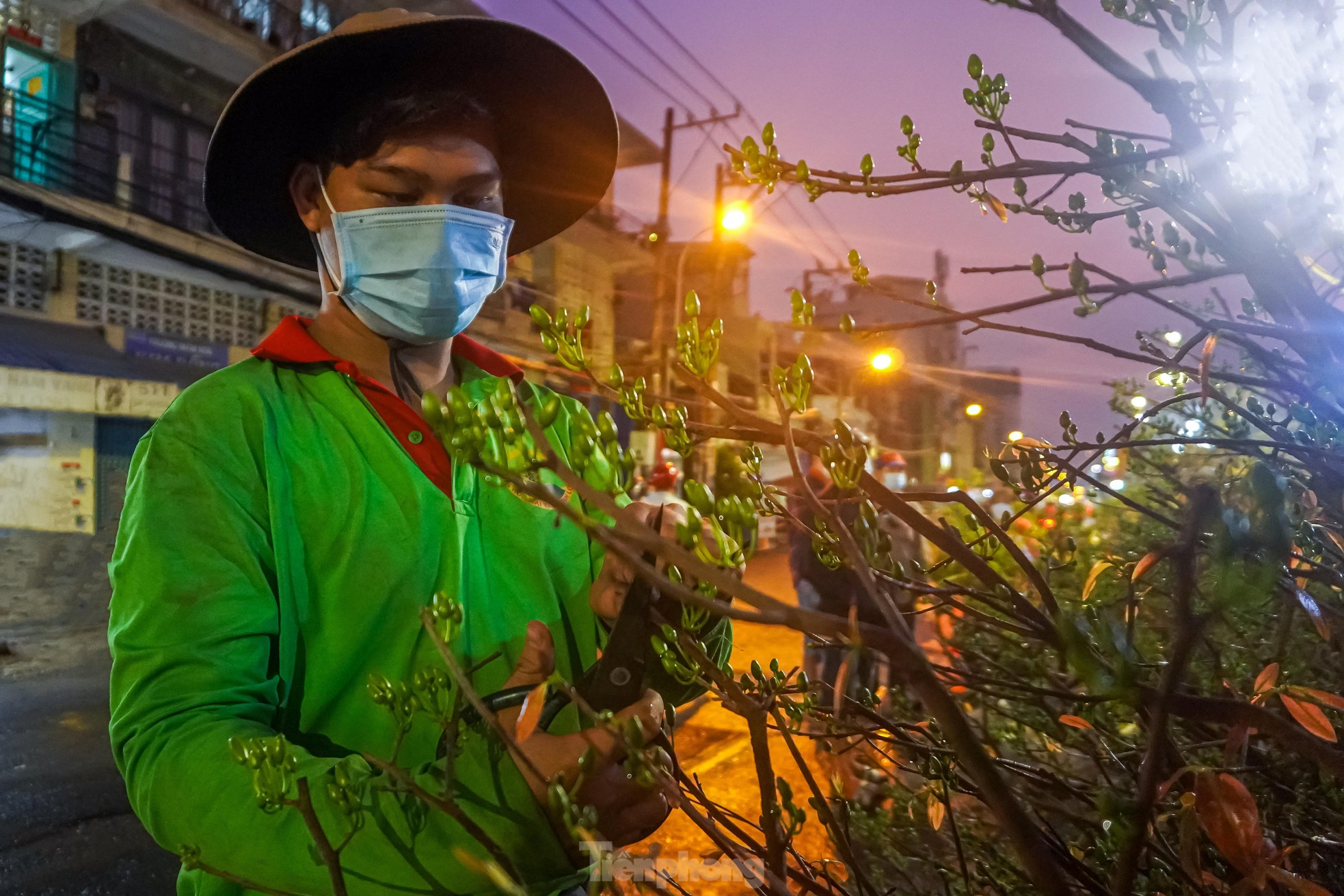 Chợ hoa &quot;trên bến dưới thuyền&quot; ngập tràn sắc xuân trước giờ khai mạc - Ảnh 3.